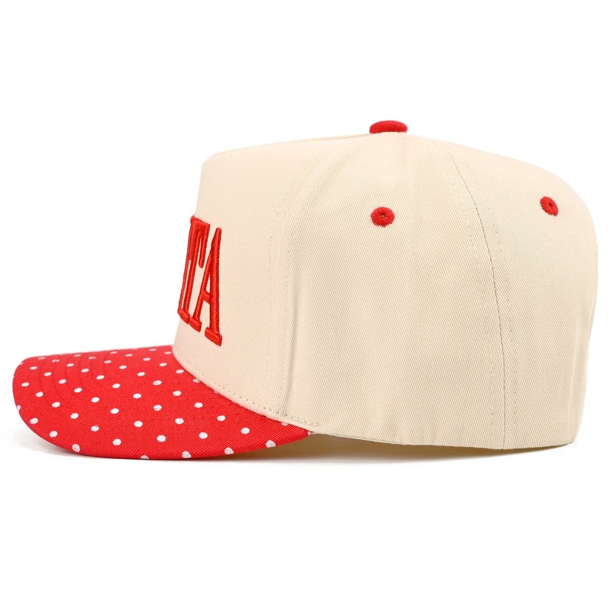 Santa Letter Embroidered Polka Dot Trucker Cap