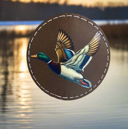 Mallard Flying