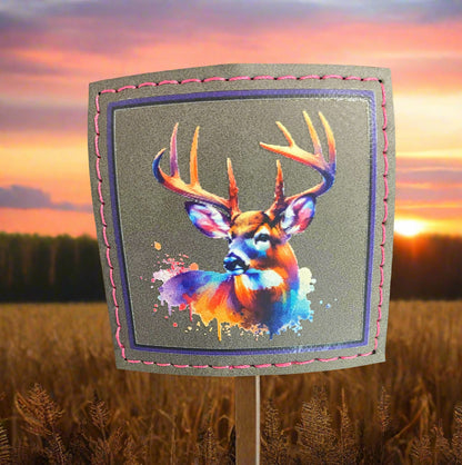 Colorful Whitetail Buck