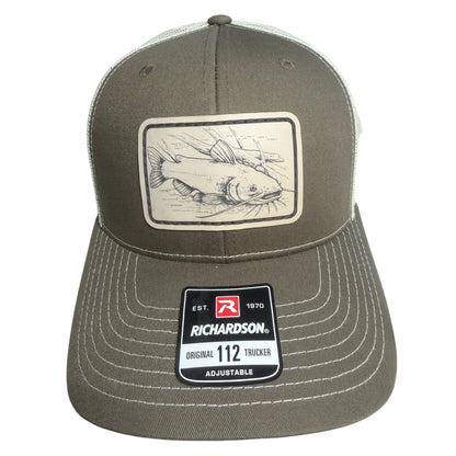 Channel Catfish